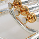 Yamaha Model YEP-842TS Custom Compensating Euphonium MINT CONDITION- for sale at BrassAndWinds.com