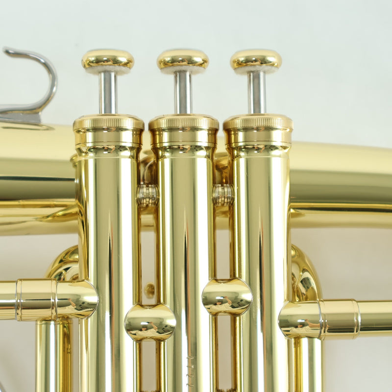Yamaha Model YFH-8310ZII 'Custom Z' Professional Flugelhorn MINT CONDITION- for sale at BrassAndWinds.com