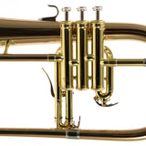 Yamaha Model YFH-8315IIG Custom Series Bb Flugelhorn MINT CONDITION- for sale at BrassAndWinds.com
