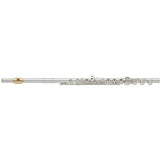 Yamaha Model YFL-462H/LPGP Intermediate Flute with Gold Lip Plate BRAND NEW- for sale at BrassAndWinds.com