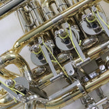 Yamaha Model YHR-668IID Professional French Horn MINT CONDITION- for sale at BrassAndWinds.com