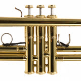 Yamaha Model YTR-8310ZII 'Custom Z Bobby Shew II' Bb Trumpet SN D88354 GORGEOUS- for sale at BrassAndWinds.com