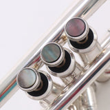 Yamaha Model YTR-9335VS 'Alan Vizzuti' Custom Bb Trumpet SN 492522 GORGEOUS- for sale at BrassAndWinds.com