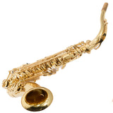 Yamaha Model YTS-62 Professional Tenor Saxophone SN D36064 NICE