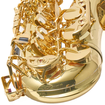 Yamaha YAS-62 Professional Alto Saxophone