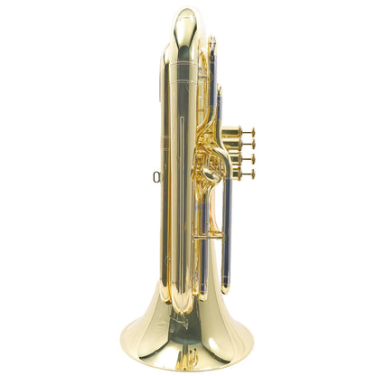 Yamaha YBB-621 Professional 3/4 BBb Tuba in Lacquer