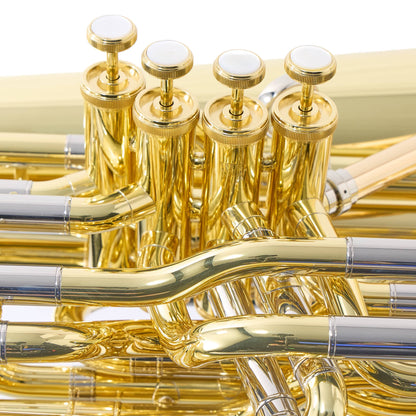 Yamaha YBB-621 Professional 3/4 BBb Tuba in Lacquer