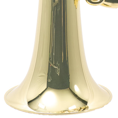 Yamaha YBB-641 Professional 4/4 Size BBb Tuba in Lacquer