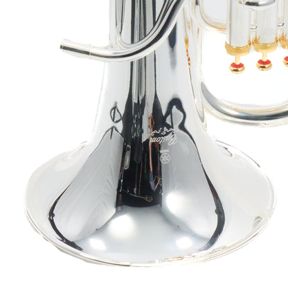Yamaha YEP-842TS Custom Compensating Euphonium in Silver Plate