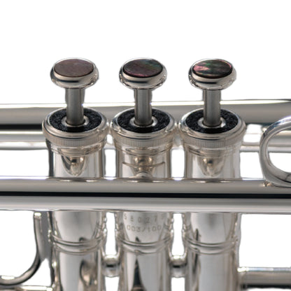Yamaha YTR-8335IIRSKG NAMM26 'Xeno Ltd Edition Kangakki' Bb Trumpet