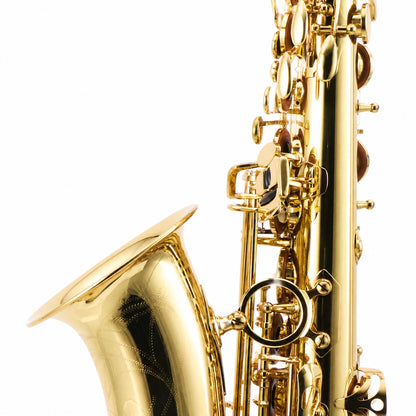 Yanagisawa AWO1 Professional Alto Saxophone in Gold Lacquer