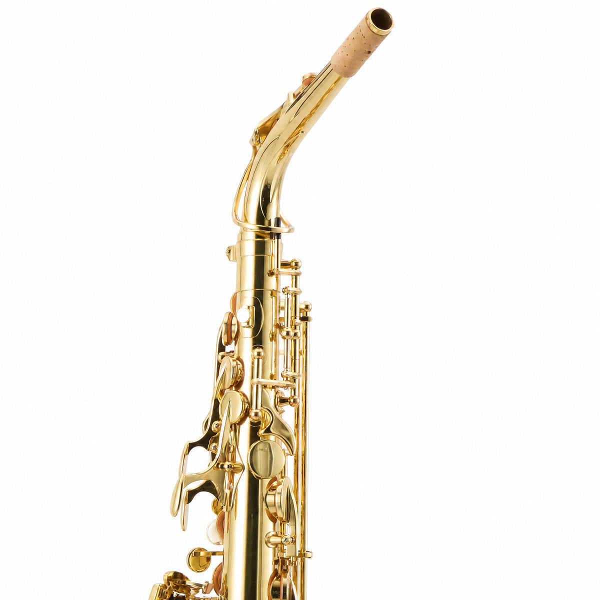Yanagisawa AWO1 Professional Alto Saxophone in Gold Lacquer