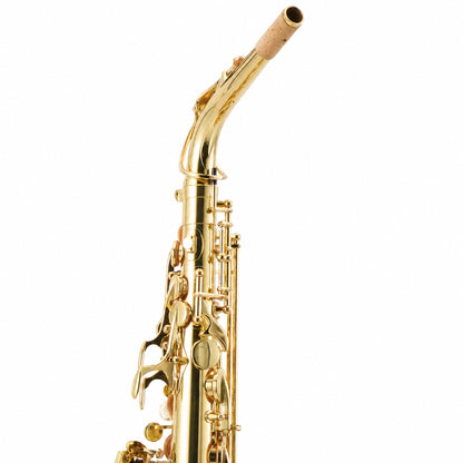 Yanagisawa AWO1 Professional Alto Saxophone in Gold Lacquer
