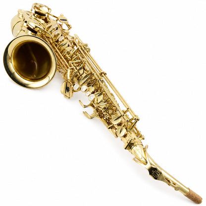 Yanagisawa AWO1 Professional Alto Saxophone in Gold Lacquer