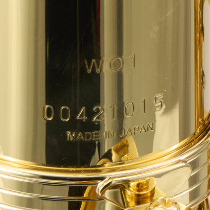 Yanagisawa AWO1 Professional Alto Saxophone in Gold Lacquer
