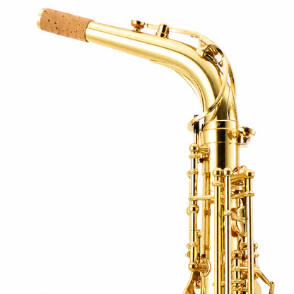 Yanagisawa AWO1 Professional Alto Saxophone in Gold Lacquer