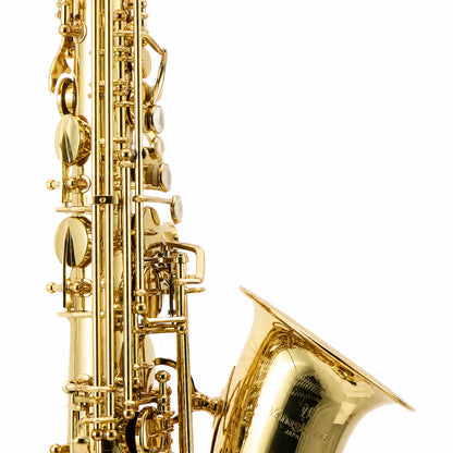 Yanagisawa AWO1 Professional Alto Saxophone in Gold Lacquer