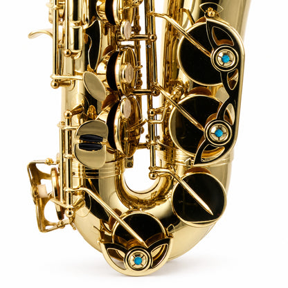 Yanagisawa AWO1 Professional Alto Saxophone in Gold Lacquer