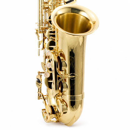 Yanagisawa AWO1 Professional Alto Saxophone in Gold Lacquer