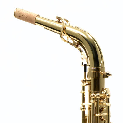 Yanagisawa AWO10 'Elite' Professional Alto Saxophone