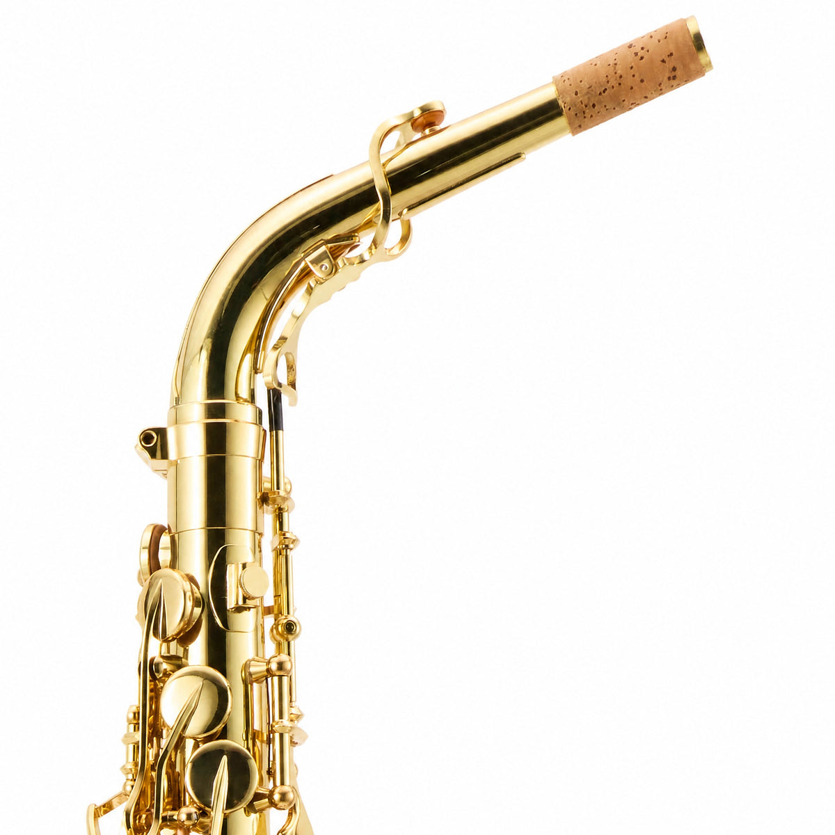Yanagisawa AWO10 Professional Eb Alto Saxophone in Gold Lacquer