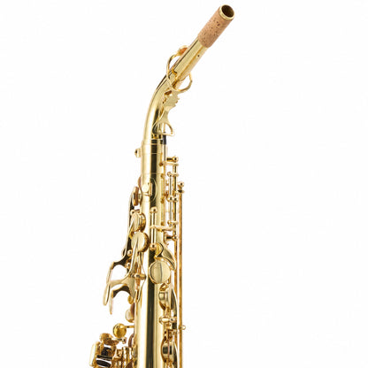 Yanagisawa AWO10 Professional Eb Alto Saxophone in Gold Lacquer