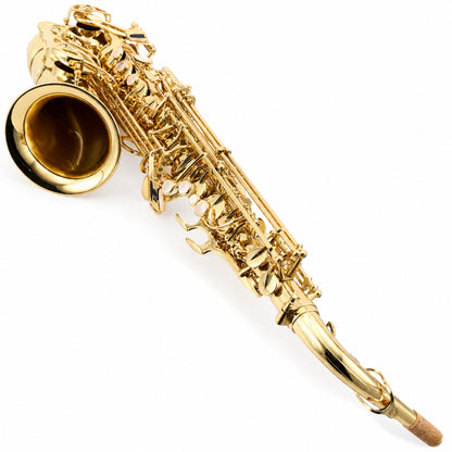 Yanagisawa AWO10 Professional Eb Alto Saxophone in Gold Lacquer
