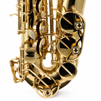 Yanagisawa AWO10 Professional Eb Alto Saxophone in Gold Lacquer