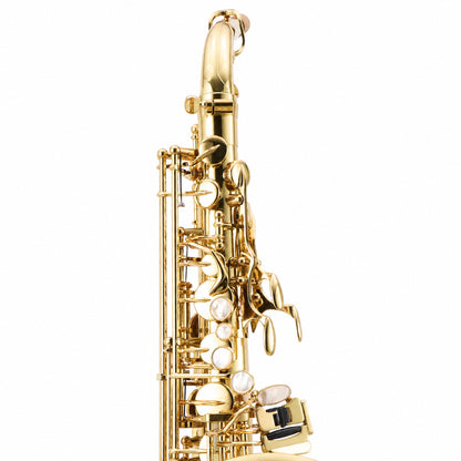 Yanagisawa AWO10 Professional Eb Alto Saxophone in Gold Lacquer