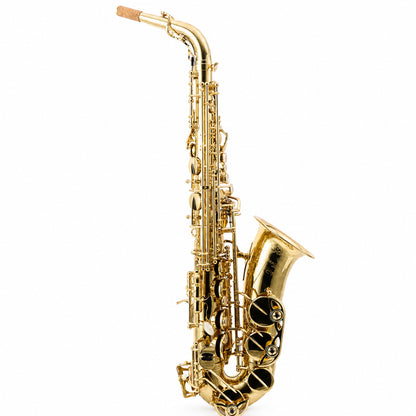 Yanagisawa AWO10 Professional Eb Alto Saxophone in Gold Lacquer