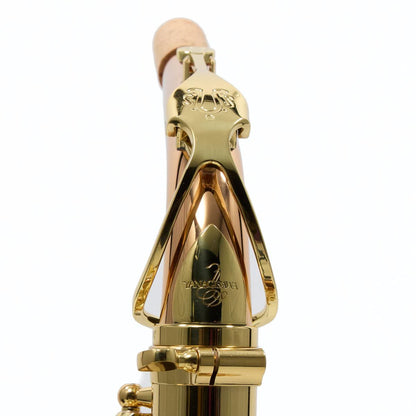Yanagisawa AWO2 Bronze Professional Alto Saxophone