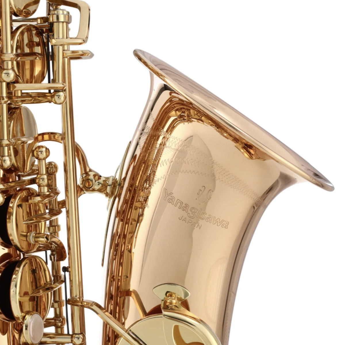 Yanagisawa AWO2 Professional Bronze Alto Saxophone
