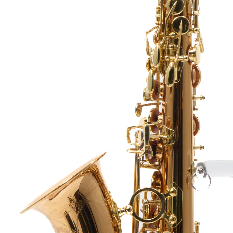 Yanagisawa Model AWO2 Bronze Professional Alto Saxophone SN 343678 SUPERB