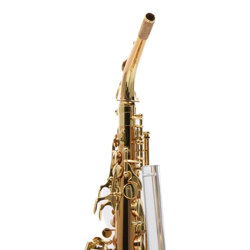 Yanagisawa Model AWO2 Bronze Professional Alto Saxophone SN 343678 SUPERB