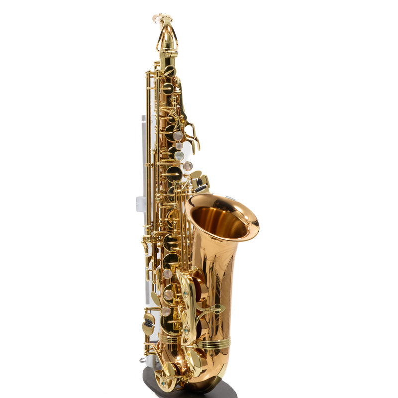 Yanagisawa Model AWO2 Bronze Professional Alto Saxophone SN 343678 SUPERB