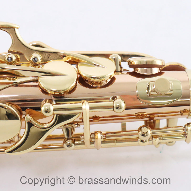 Yanagisawa Model AWO20 Elite Alto Saxophone SN 398596 SUPERB- for sale at BrassAndWinds.com