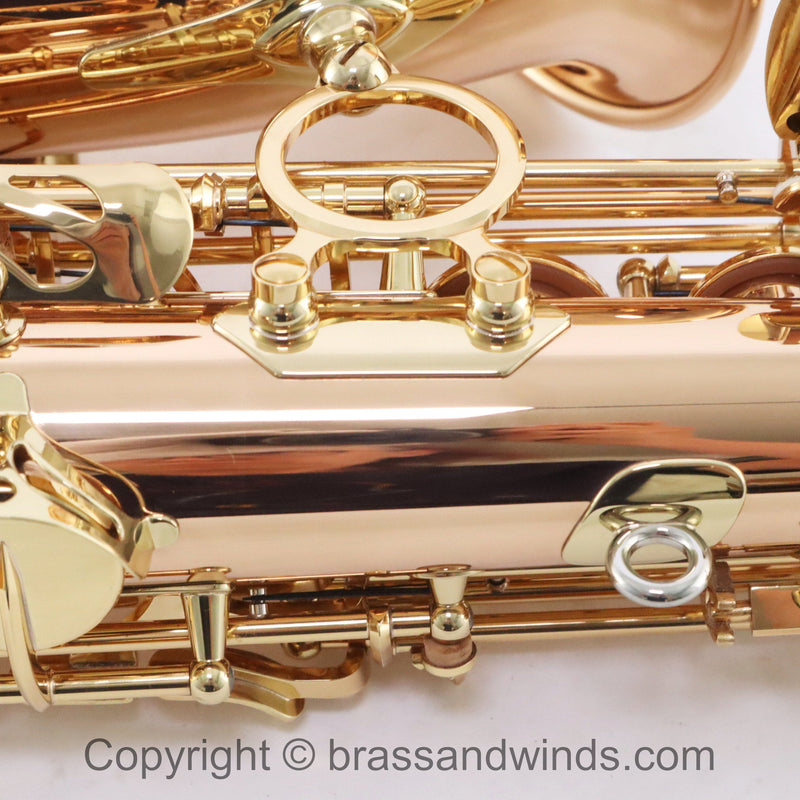 Yanagisawa Model AWO20 Elite Alto Saxophone SN 398596 SUPERB- for sale at BrassAndWinds.com