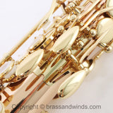 Yanagisawa Model AWO20 Elite Alto Saxophone SN 398596 SUPERB- for sale at BrassAndWinds.com