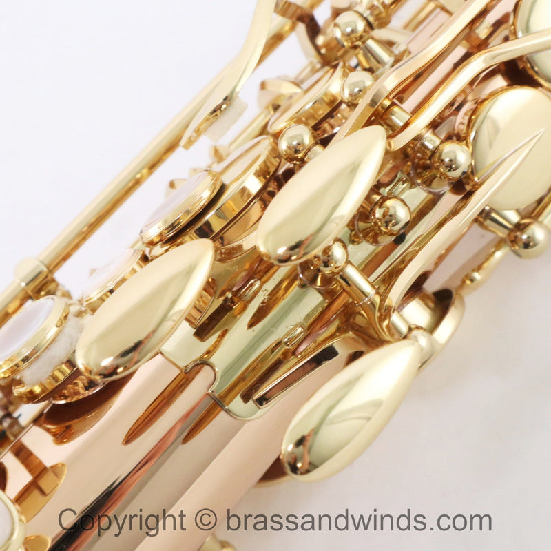 Yanagisawa Model AWO20 Elite Alto Saxophone SN 398596 SUPERB- for sale at BrassAndWinds.com
