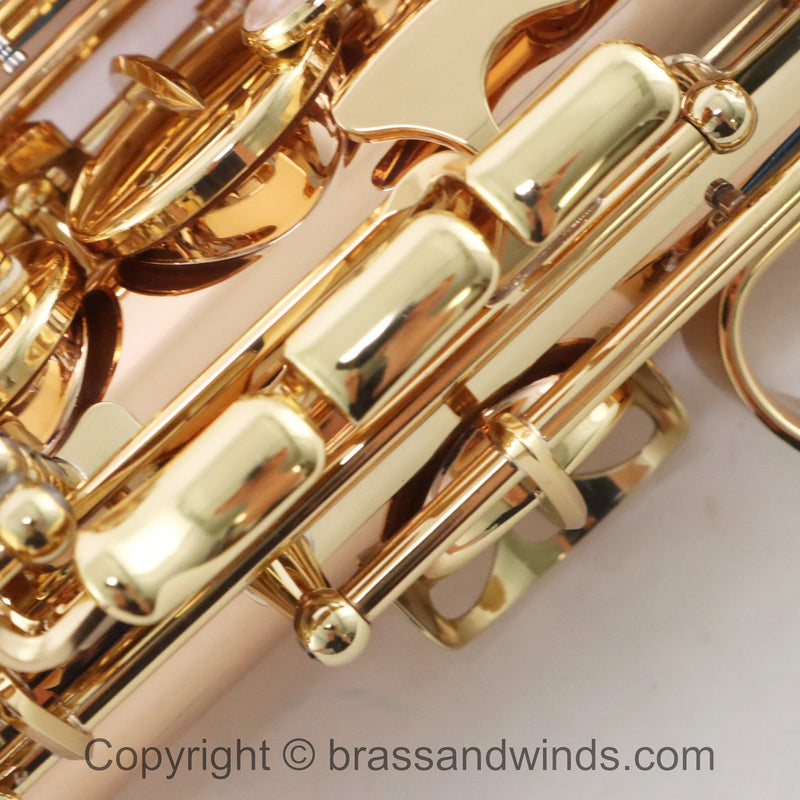 Yanagisawa Model AWO20 Elite Alto Saxophone SN 398596 SUPERB- for sale at BrassAndWinds.com