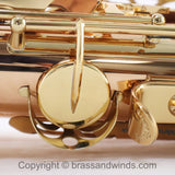 Yanagisawa Model AWO20 Elite Alto Saxophone SN 398596 SUPERB- for sale at BrassAndWinds.com