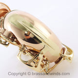 Yanagisawa Model AWO20 Elite Alto Saxophone SN 398596 SUPERB- for sale at BrassAndWinds.com