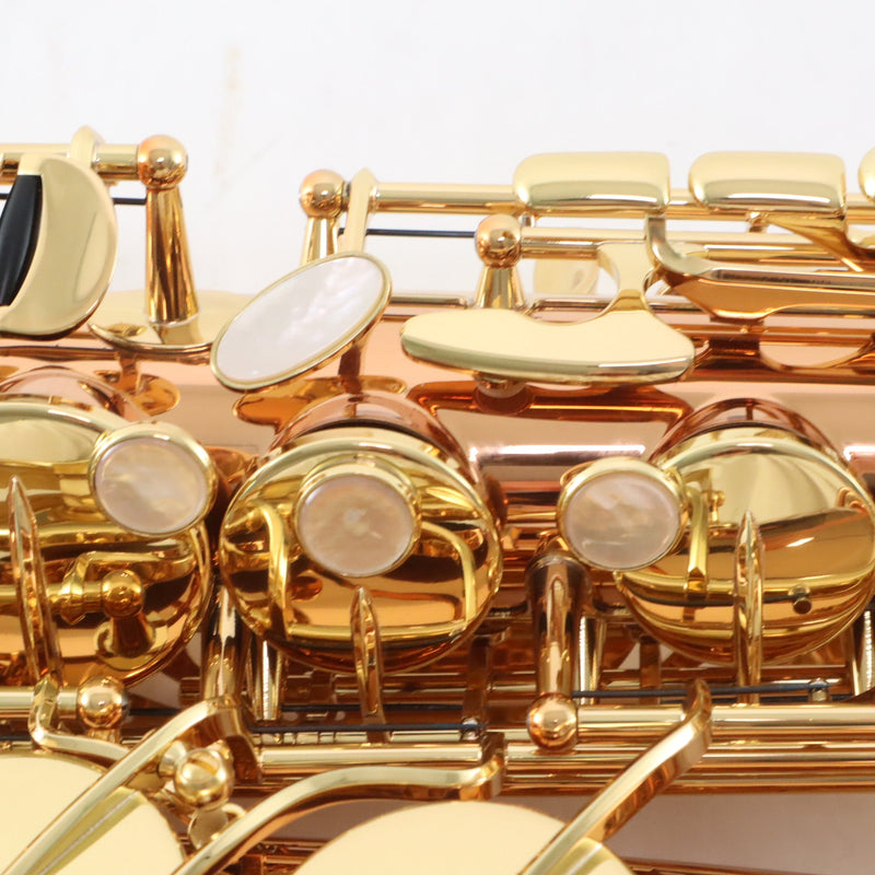 Yanagisawa Model AWO20 'Elite' Alto Saxophone in Bronze MINT CONDITION- for sale at BrassAndWinds.com