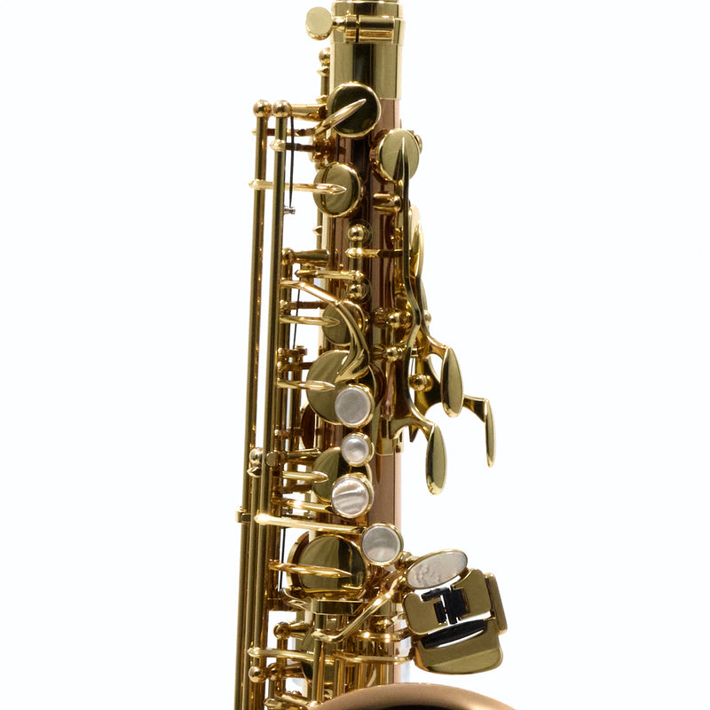 Yanagisawa Model AWO20 'Elite' Professional Alto Saxophone MINT CONDITION- for sale at BrassAndWinds.com
