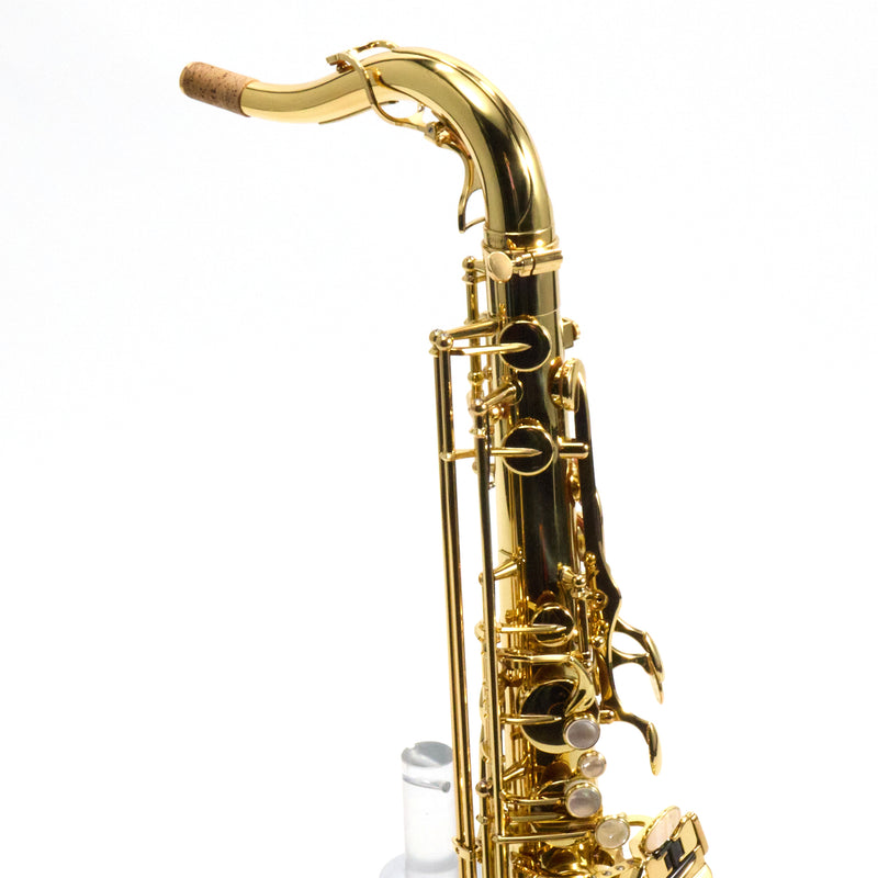 Yanagisawa Model TWO10 'Elite' Professional Tenor Saxophone SN 412389 GORGEOUS- for sale at BrassAndWinds.com