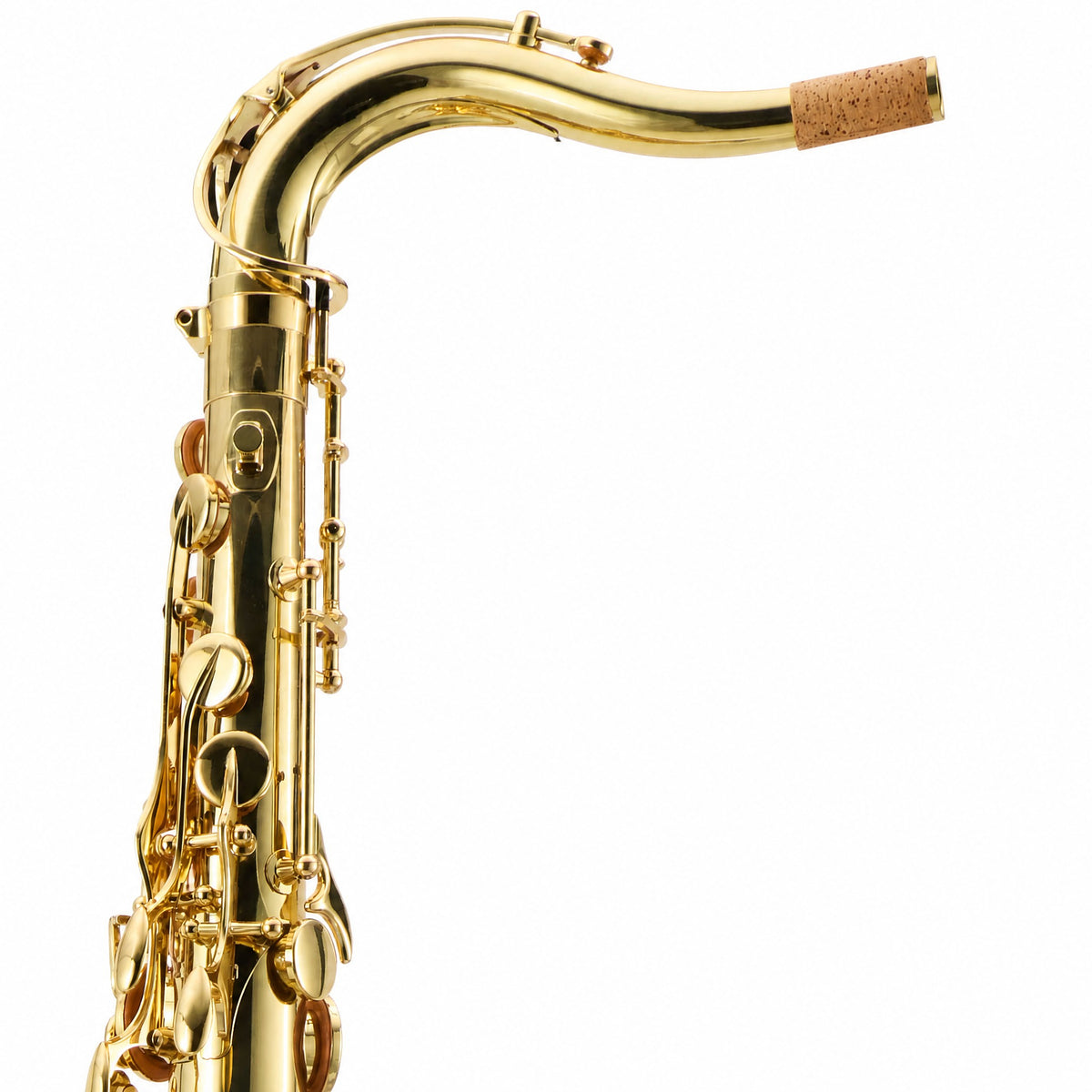 Yanagisawa TWO1 Professional Bb Tenor Saxophone in Gold Lacquer