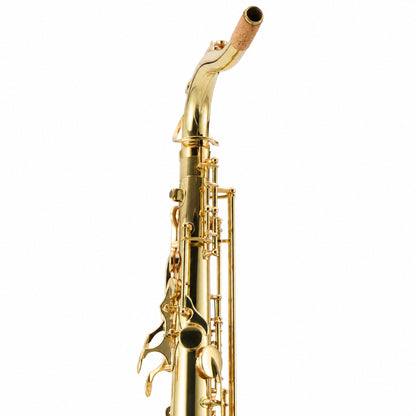 Yanagisawa TWO1 Professional Bb Tenor Saxophone in Gold Lacquer