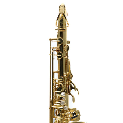 Yanagisawa TWO1 Professional Tenor Saxophone