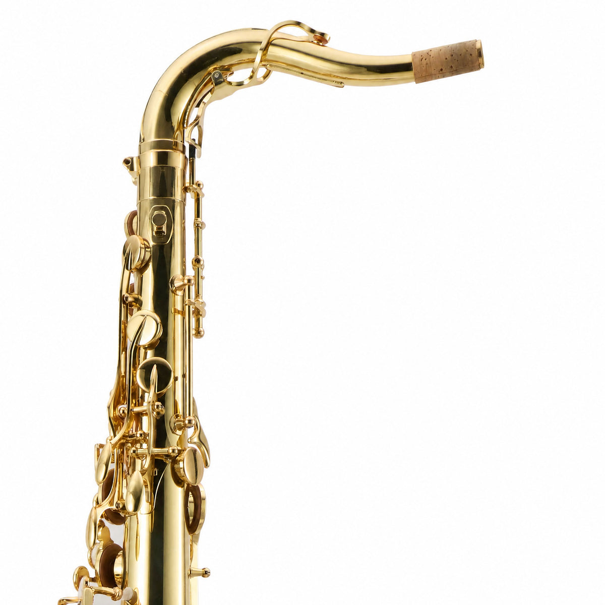 Yanagisawa TWO10 'Elite' Professional Tenor Saxophone in Gold Lacquer