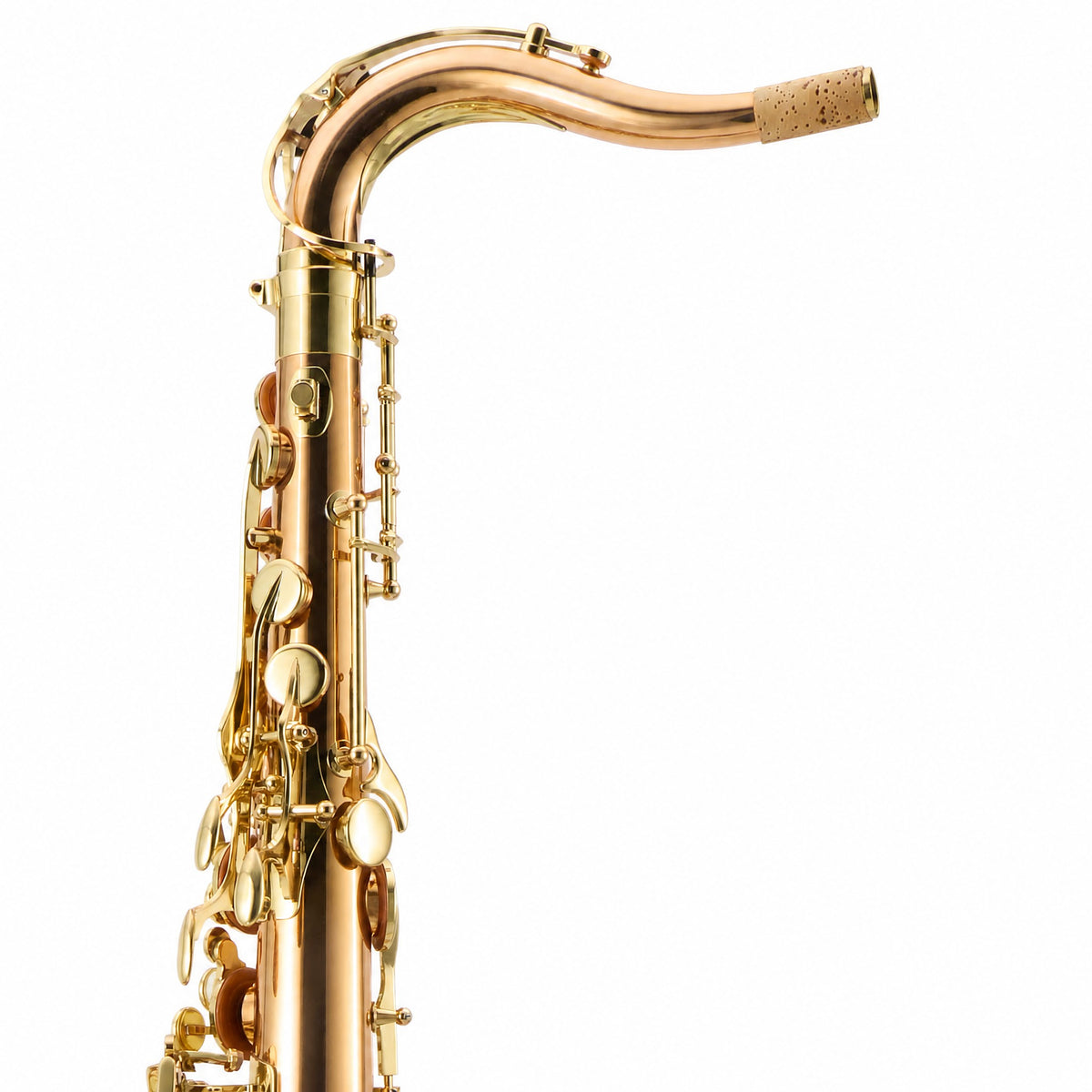 Yanagisawa TWO2 Professional Bb Tenor Saxophone in Lacquered Bronze SN 00420803